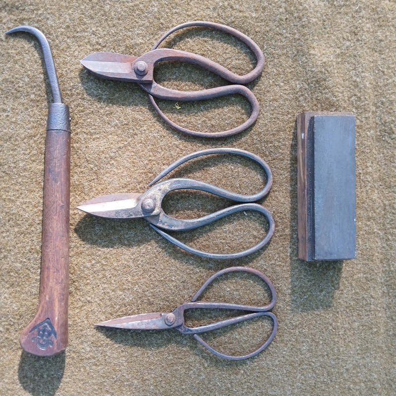 Vintage Japanese Bonsai Tools Shears Antique