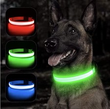 Light Up Dog Collar USB Rechargeable/ Green, LARGE