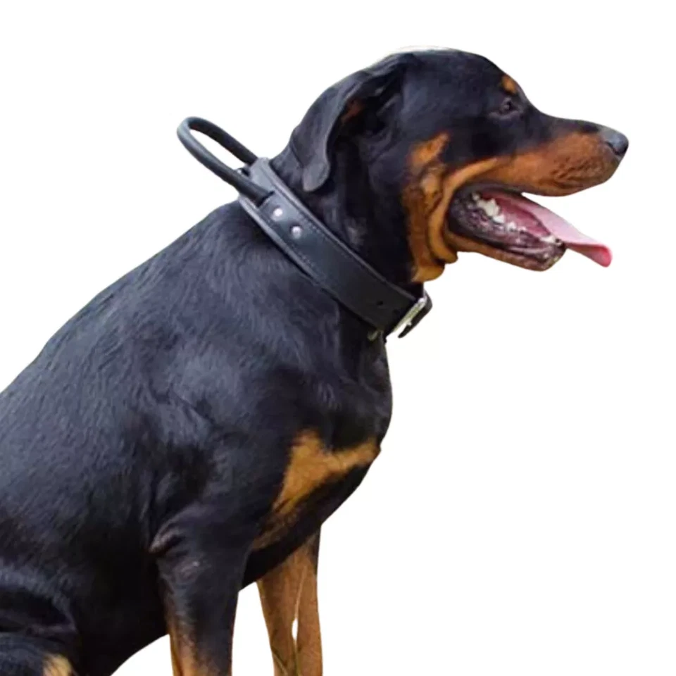 Collar de cuero genuino con mango ajustable para perro K-9 militar artesanal resistente Foto 2 de 4