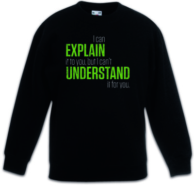 I Can Explain It To You Kinder Pullover Lehrer Fun Professor Understand Admin