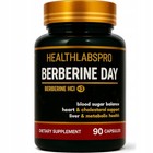 Berberin HCl 97% Extrakt Kapseln – Komplex mit Chrom, ALA, Ptero