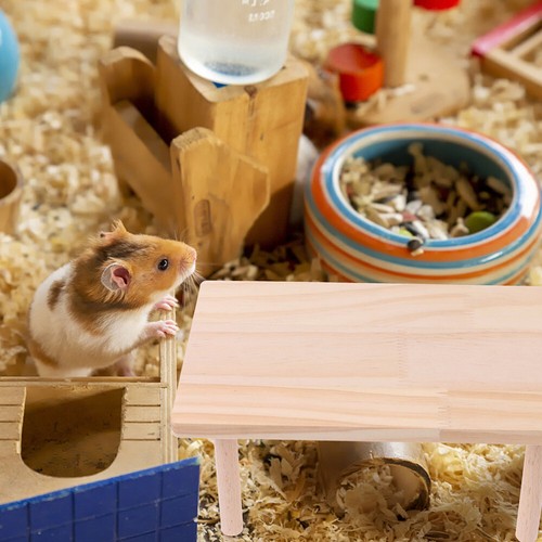 2pcs Sturdy Convenient Chinchilla Platform Toys Cage Landscape Stands Gift - Picture 10 of 12