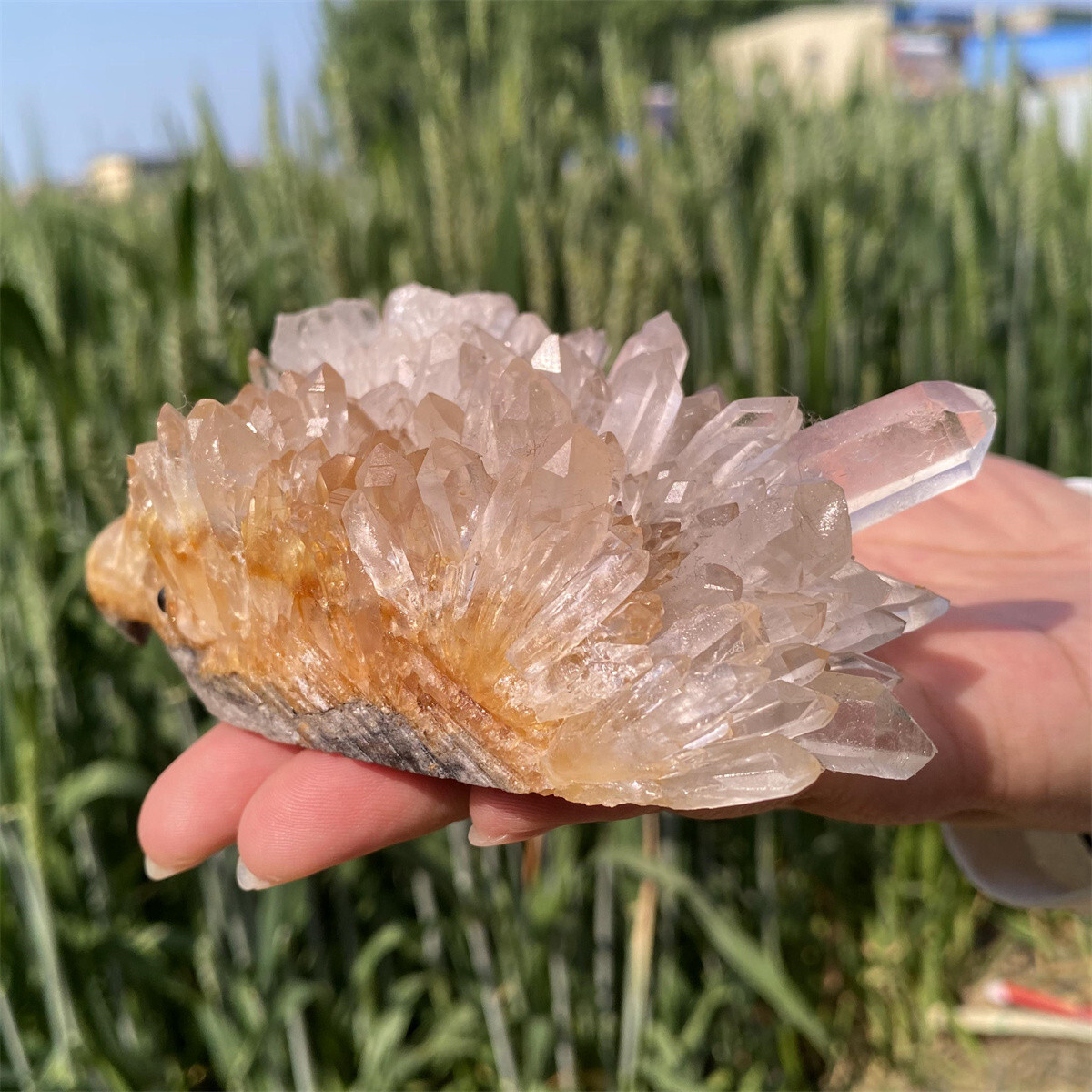350g Unique Natural Cluster Mineral Quartz Carved Crystal 350g Unique Natural Cluster Mineral Quartz Carved Crystal