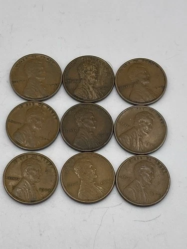 1909 VDB  Lincoln CENT WHEAT PENNIES LOT OF 9 Fine Condition Lot VDB1