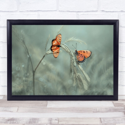 Schmetterling Schmetterlinge zwei Paar Romantik Gras Plan Bokeh Makro Wandkunstdruck