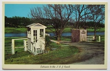 Texas Stonewall President L.B. Johnson Ranch Entrance Postcard Vintage 1964