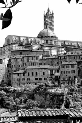 Siena Skyline Stadtbild mittelalterliche Stadt südliche Toskana Italien Foto Bild