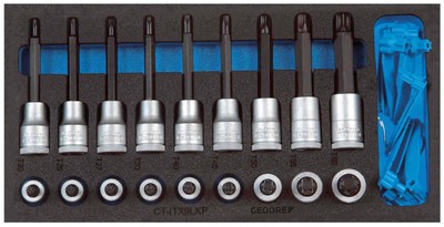Satz Schraubendrehereinsätze 1/2 in Check-Tool-Modul GEDORE 1500 CT1-ITX 19 LKP