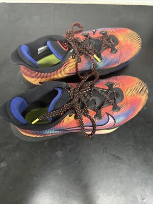 Size 10.5 - Nike Air Zoom BB NXT Heat Map 2020