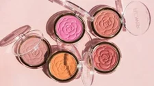 Flower Beauty Flower Pots Powder Blush, You Choose