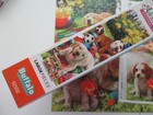 Bild 14 von 24