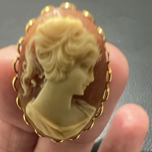 Vintage Oval Cameo Portrait Brooch Pin, Gold Tone Frame, Brown & Cream