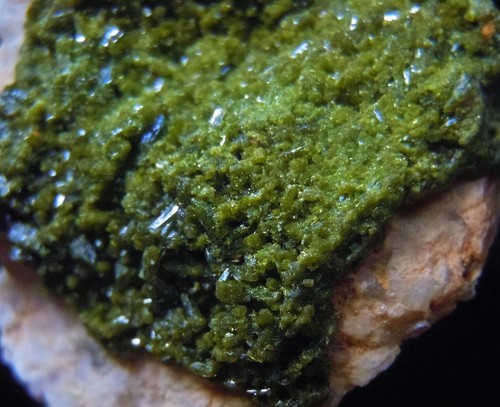 Piromorfita (PM15) EXCELENTE mineral de Pennsylvania, EE. UU. - Imagen 7 de 7