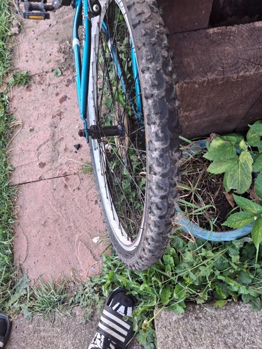 Muddyfox Flare 26" Mountain Bike - turquoise and white - Picture 3 of 14