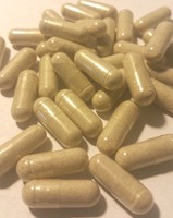 Graviola Leaf >>> Guanabana / Soursop >> 48 Capsules Graviola Leaf >>> Guanabana / Soursop >> 48 Capsules