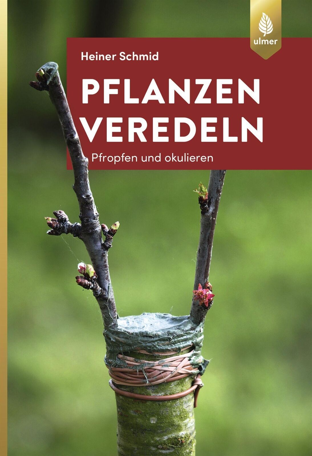 Thumbnail - Pflanzen Veredeln Pfropfen Und Okulieren Heiner Schmid Taschenbuch 128