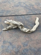 Natural Driftwood for Plants Terrarium Taxidermy Art Projects