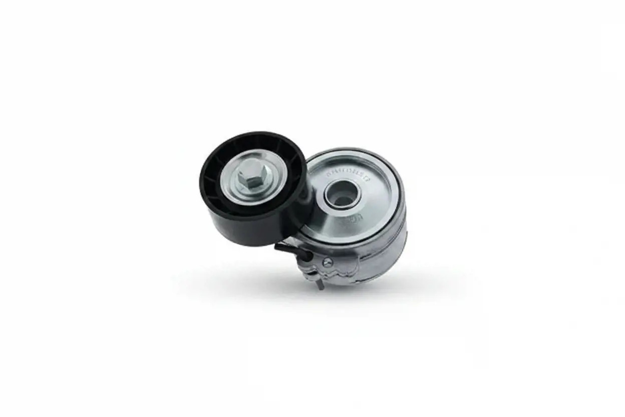 SNR GA359.98 Rullo Tendicinghia - Immagine 2