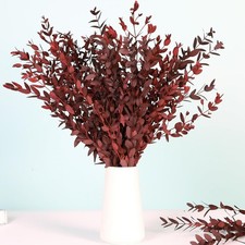 Dried Eucalyptus Leaves Stems, Preserved Real Eucalyptus Plant, Dried Willow ...