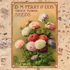 Vintage Flower Seeds Tin Sign Aluminum Sign 8x12 Funny Retro Decor