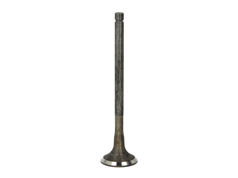 Fits FRECCIA 6646/RNT Exhaust valve 6646/RNT Exhaust valve (25,45x6x1 ⭐UK Stock⭐