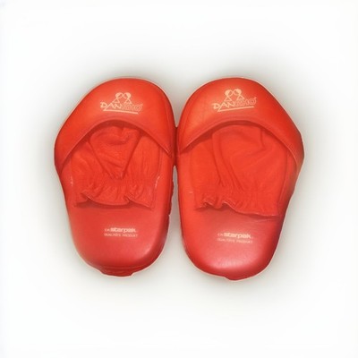 DANRHO Focus Punching Mitt