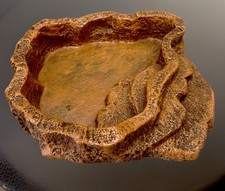 Reptile Terraced Dish for Food or Water - Large
