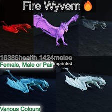 Fire Wyvern Max Level 362 / TOP STATS / Solid...