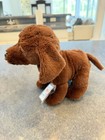 Webkinz Chocolate Lab, Brand New With Both Unused Next Code And Classic!! — photo 4