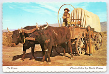 Vintage Postcard Ox Team Covered Wagon Cowboy Desert Adventures Royal Pictures