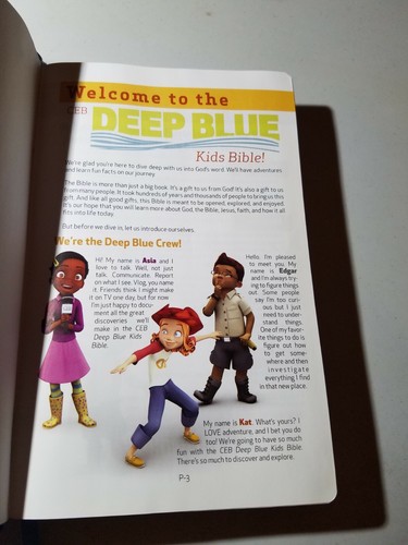 Deep Blue Kids Bible Common English CEB, Like New Silver Gilded Edge, 2012, Soft - Picture 2 of 10