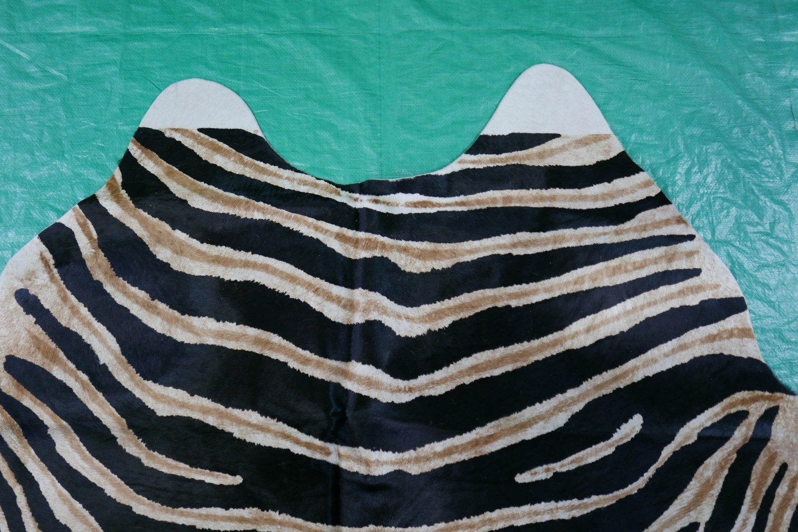 Picture 11 of 21