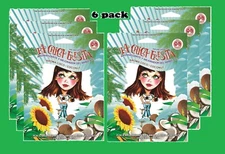 6 LA CHICA FRESITA COCO coconut  aromatizante air freshener girl 6pc