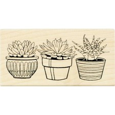 Succulent Pots Mounted Rubber Stamp Wedding Card 3.5x1.75x1 Inch