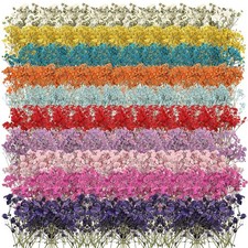 Woanger 200 Pcs Dried Baby's Breath Flowers Real Natural Pressed Bulk Baby's ...