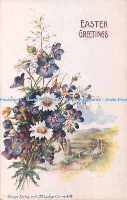 R408354 Ostergrüße Ochsenauge Gänseblümchen und Wiese Kranichschnabel James Henderson Favorit