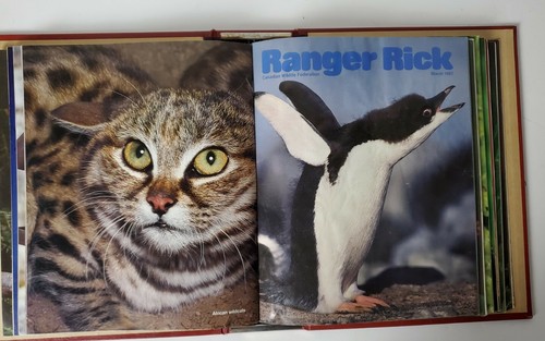 Ranger Rick Magazin Mappe und 12 Ausgaben 1986 1987 Canadian Wildlife Federation - Bild 6 von 12