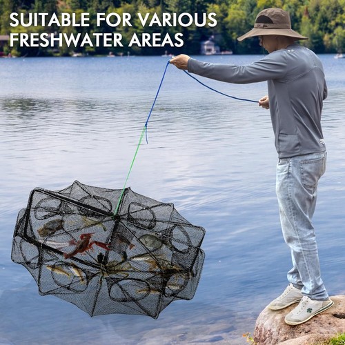 1/2PZ 10 Fori Minnow Trappola 32 * 10 in" Pieghevole Rete da Pesca Pesce Secchio Rete Granchio - Foto 7 di 12