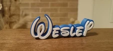 WESLEY PERSONALIZE DISNEY NAME PLATE SIGN CUSTOM DOOR TAG FONT WALL BEDROOM BLUE