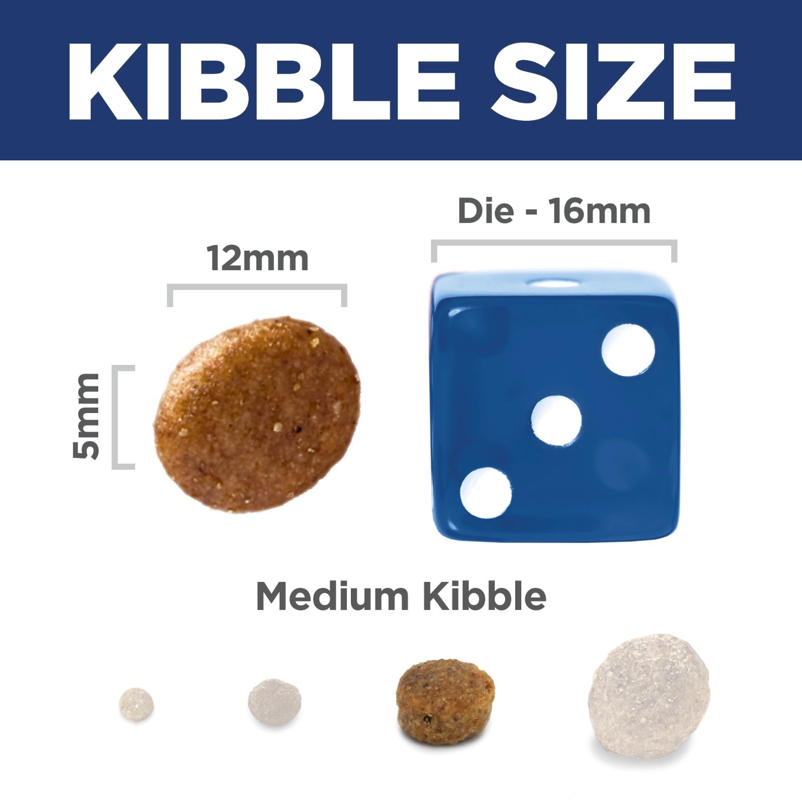 Hill's Science Diet Adult 1-6 Dry Dog Food Salmon Premium Nutrition Fast Ship