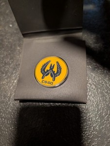 Cs2 Pin | eBay