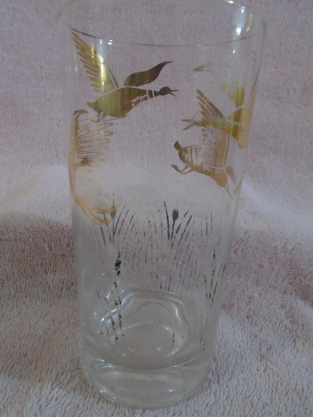 Picture 4 of 5