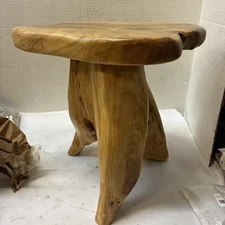 Cedar Root Natural Stool Mushroom Reclaimed Hard Side Table Stand Foot Wood End