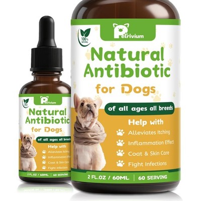 Dogs Antibiotics for Infection Coughs, UTIs, Allergies, Itching - Natural Antibi