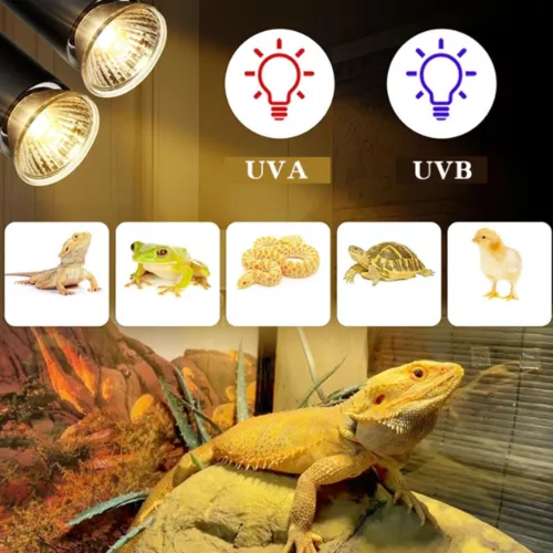 8PCS UVA+UVB 50W Reptile Heat Basking Light Bulb Lamp For Tortoise Lizard Turtle - Bild 7 von 19