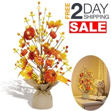 18 Inch Lighted Artificial Fall Tree Indoor Decorations For Home Table Clearance