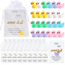 Unittype 24 Pcs Christmas Inspirational Gifts Bulk Mini Resin Ducks with You'...