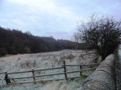 Photo A2 Woods at Axwell Park Whickham On a frosty winters morning. Seen c2012