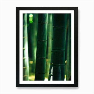 Bambuswald 5 Kunstdruck gerahmt Wandbild Poster Leinwanddruck Bild