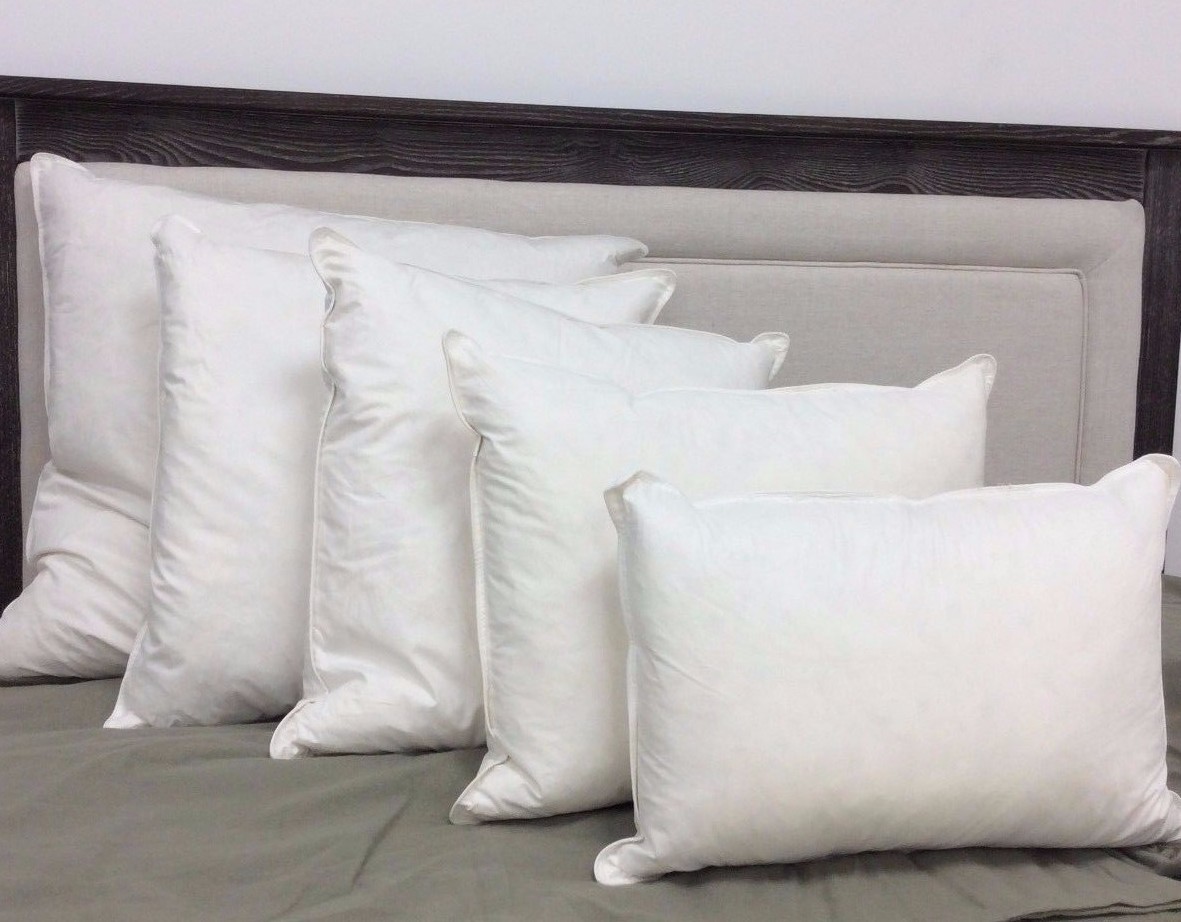 Pillowtex White Duck Feather Throw Pillow Insert